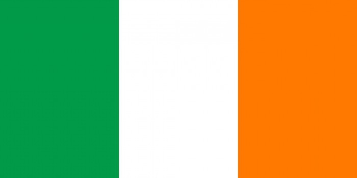 Herb Irlandii: wygląd i historia wyglądu